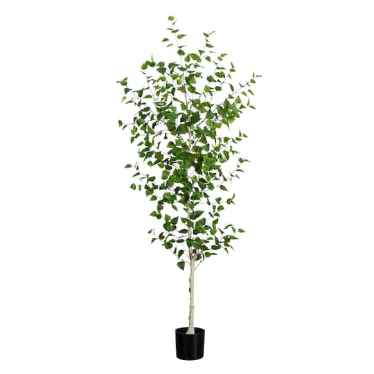 7ft. Birch Tree in Black Planter